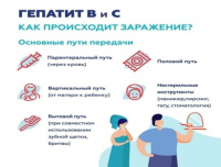 Профилактика вирусного гепатита В и С