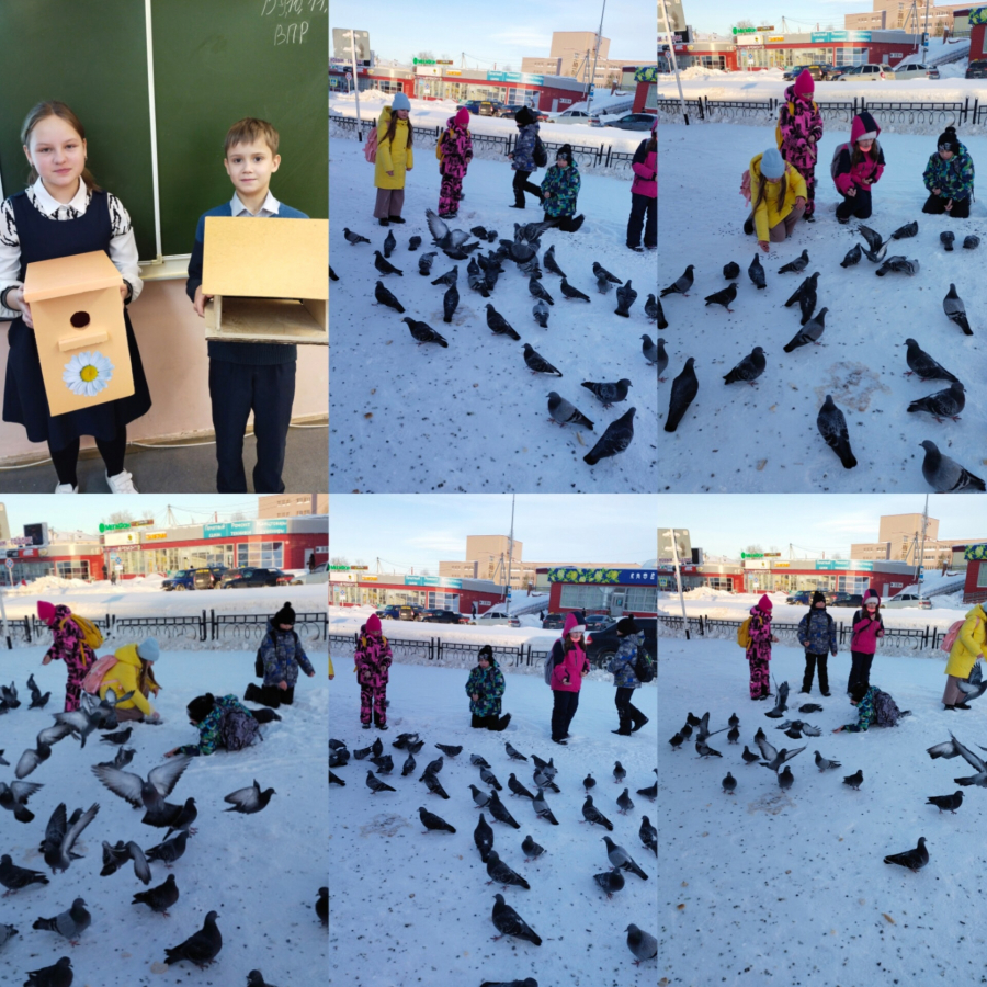 Экологический праздник «День зимующих птиц»