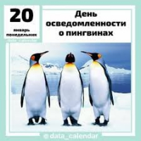 Праздник &quot;День осведомленности о пингвинах&quot;